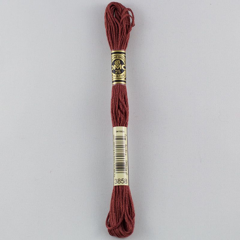 DMC Floss 3858 Rosewood Medium