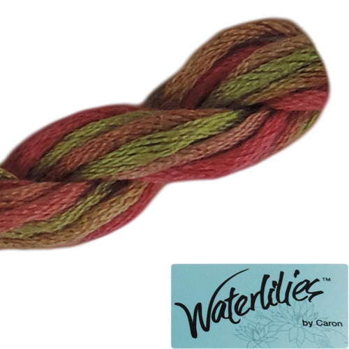 Waterlilies 052 Marigold