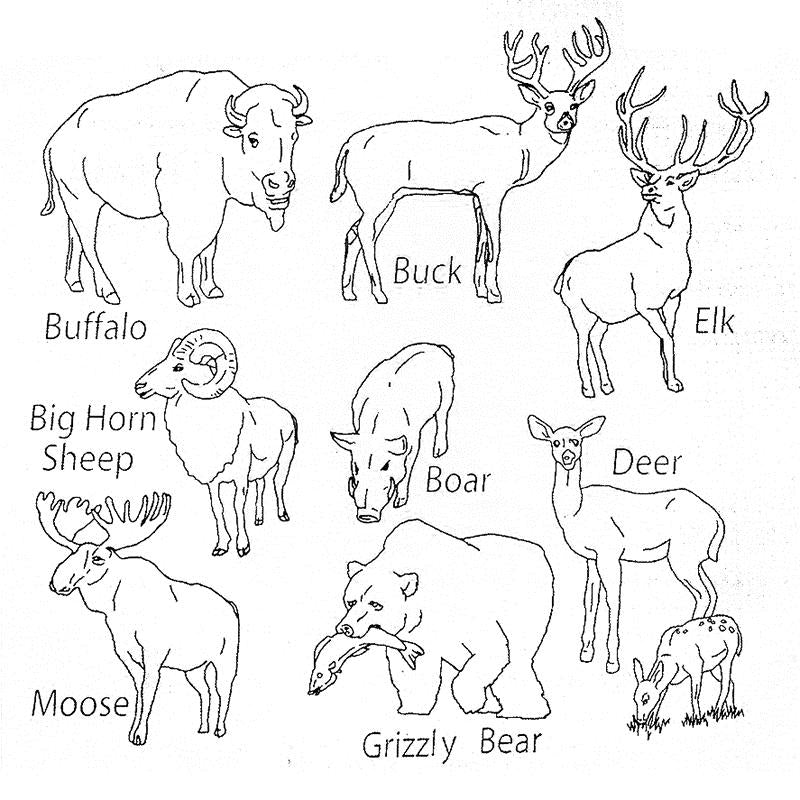 Aunt Martha's 3969 Big Game Animals