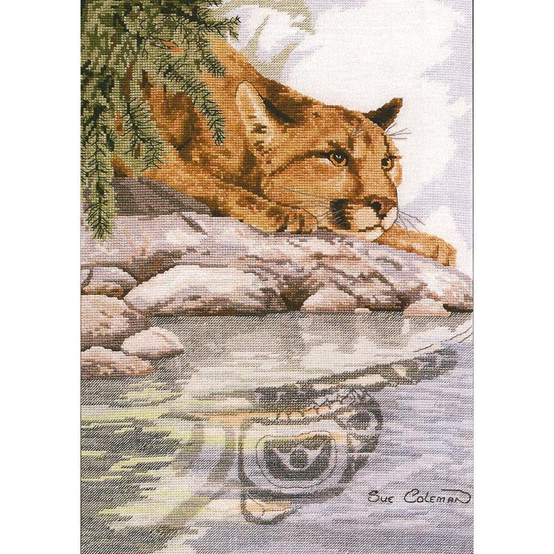 Sue Coleman 7364 Cougar Reflection