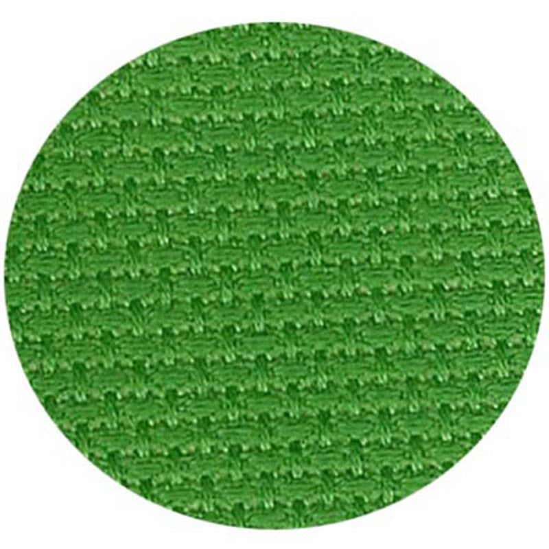 Aida 14ct 6037 Holly Green Package - Large