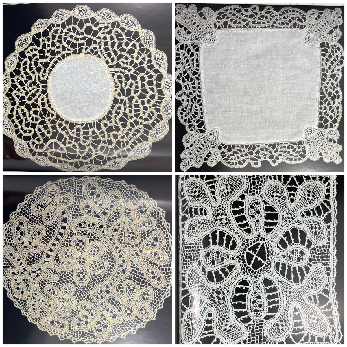 Borris Lace Collection Sally Milner Publishing