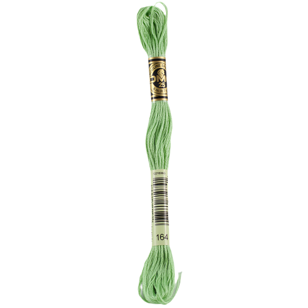 DMC Floss   164 Forest Green Light