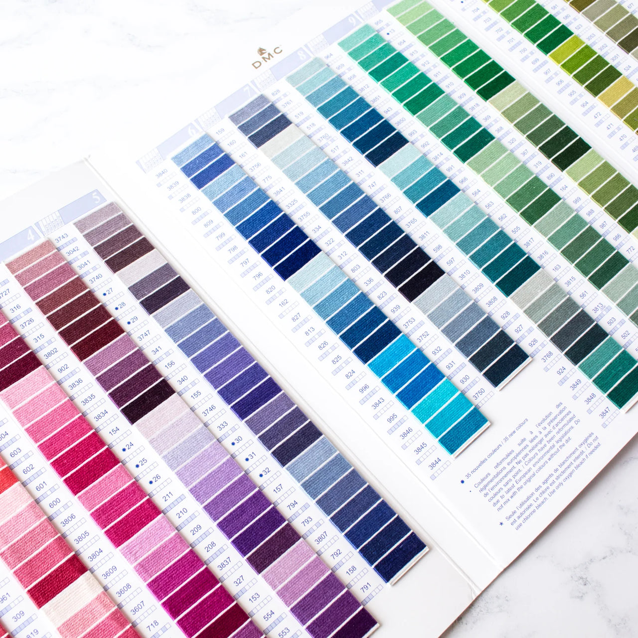 DMC Color Card  W100B