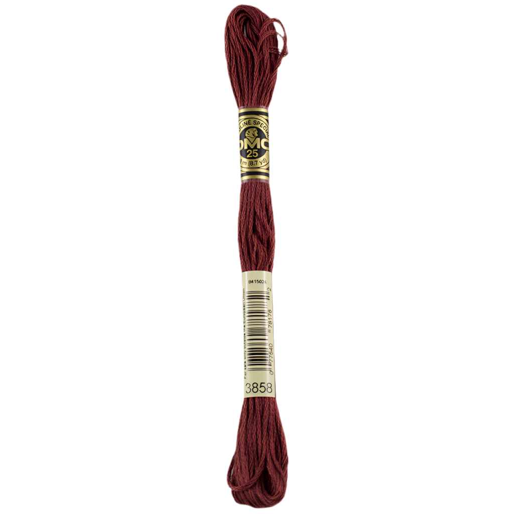 DMC Floss 3858 Rosewood Medium