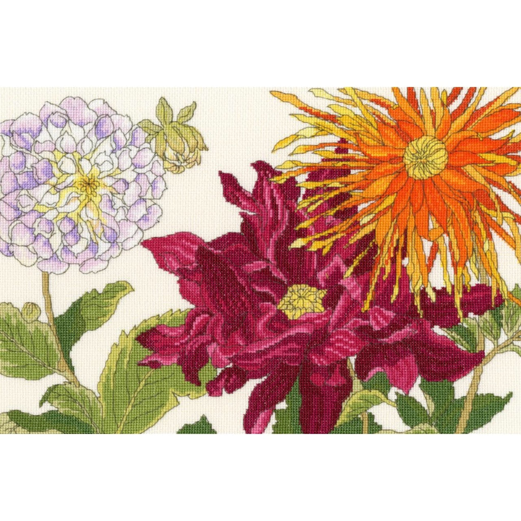 Bothy Threads XBD11 Dahlia Blooms