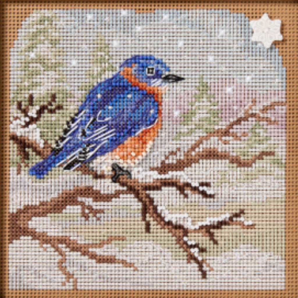 MH14-2534 Snowy Bluebird