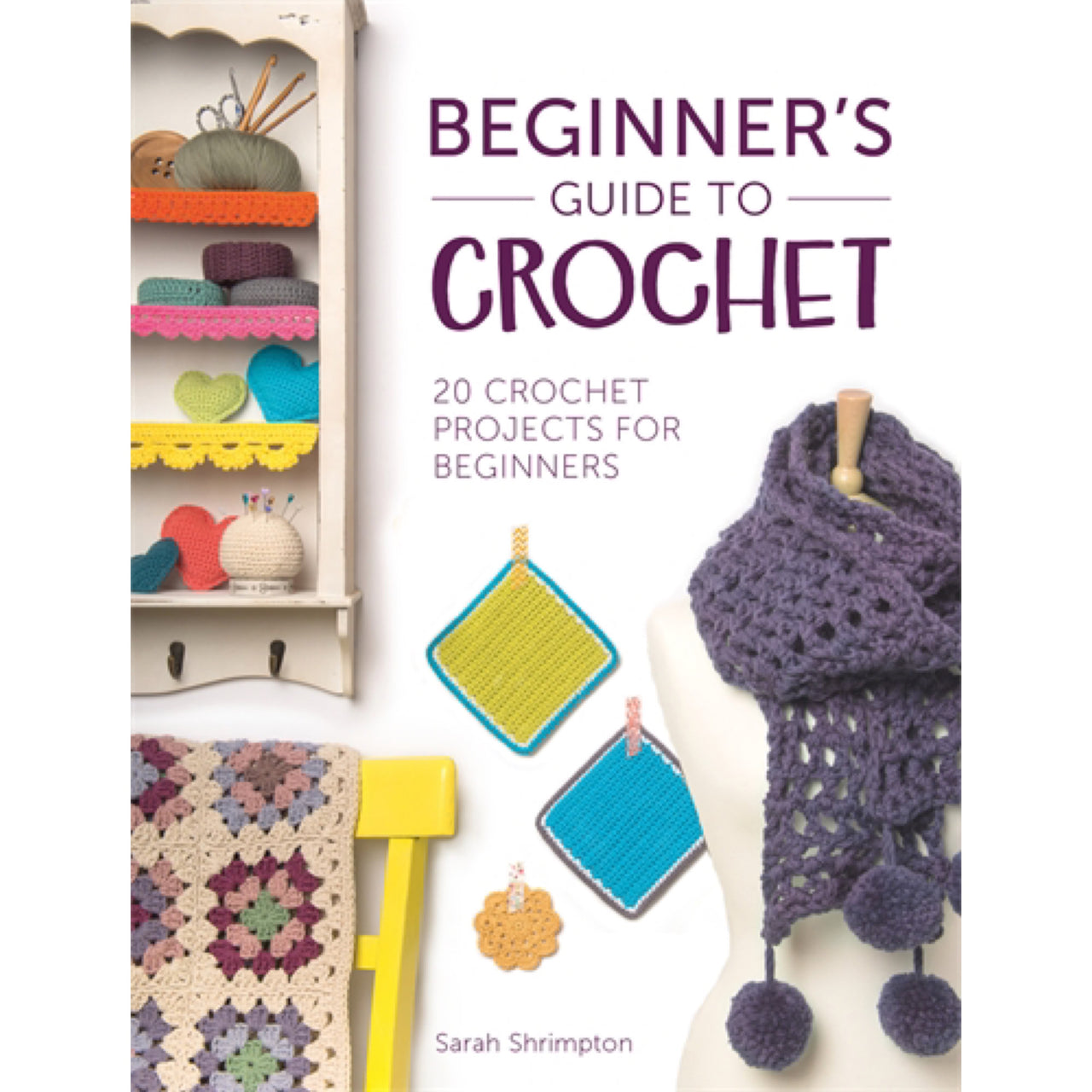 Beginner's Guide to Crochet David & Charles