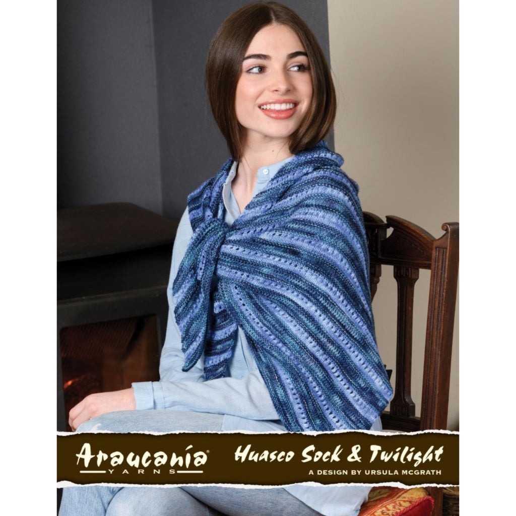 Araucania 132-01 Huasco Eama Shawl Twilight