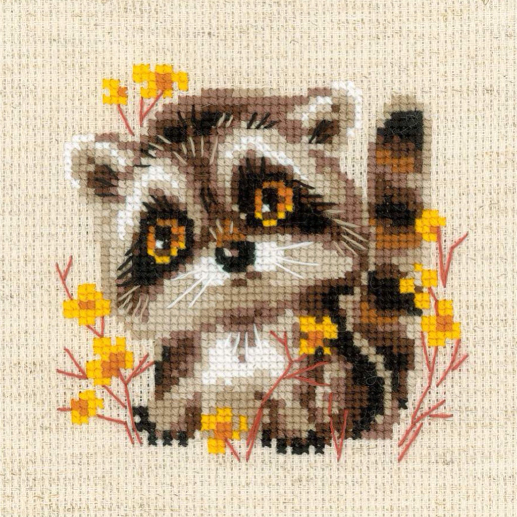 Riolis 1754 Little Raccoon