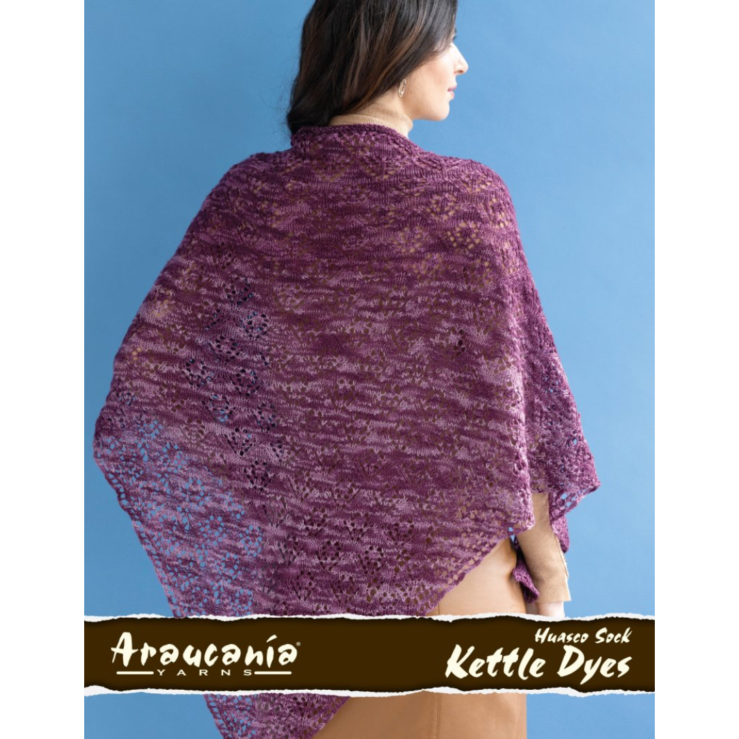 Araucania  69-01 Huasco Sock Kettle Dyed Alani Shawl