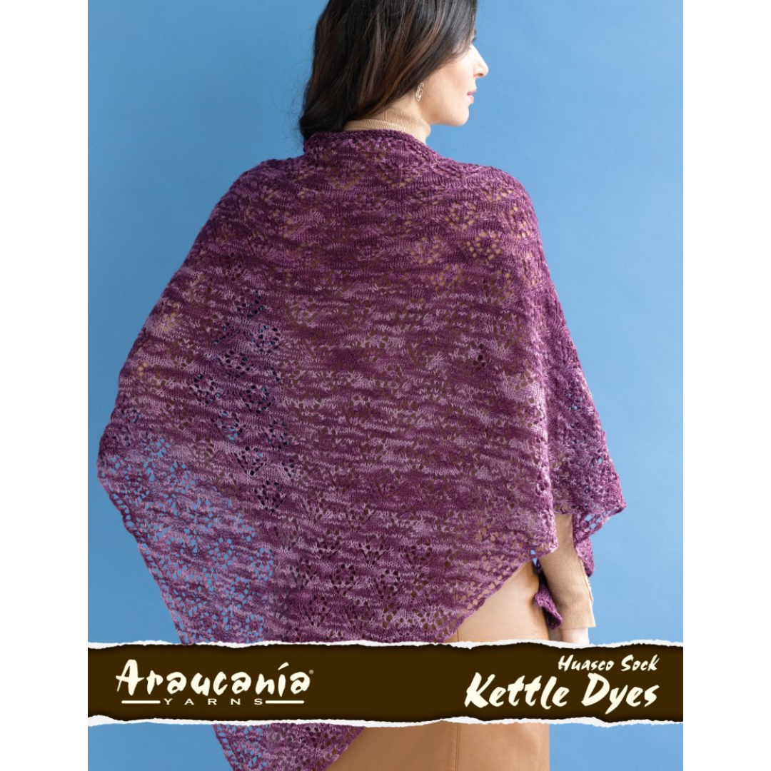 Araucania 69-01 Huasco Sock Kettle Dyed Alani Shawl