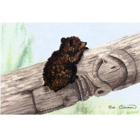 Sue Coleman 7375 Bear Cub on Log