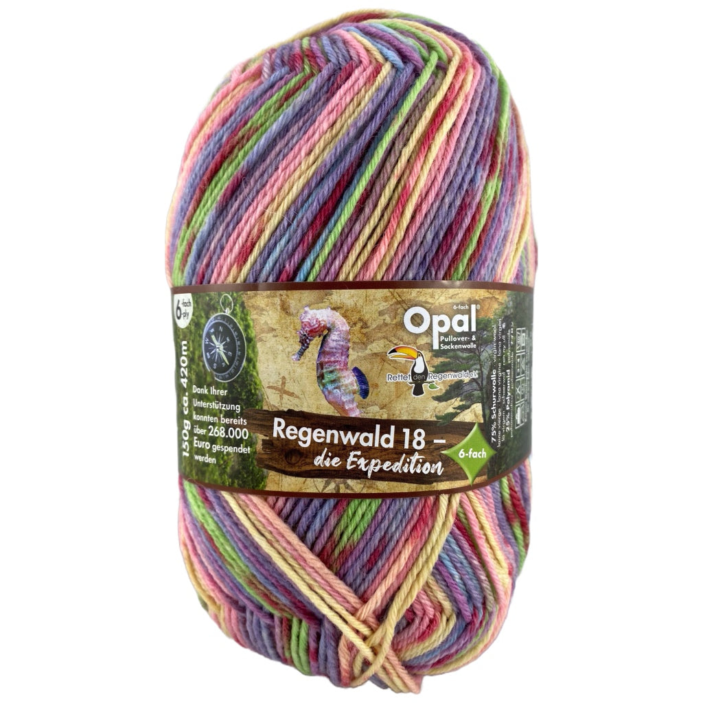 Opal 11212 Tracker Sophia 6ply