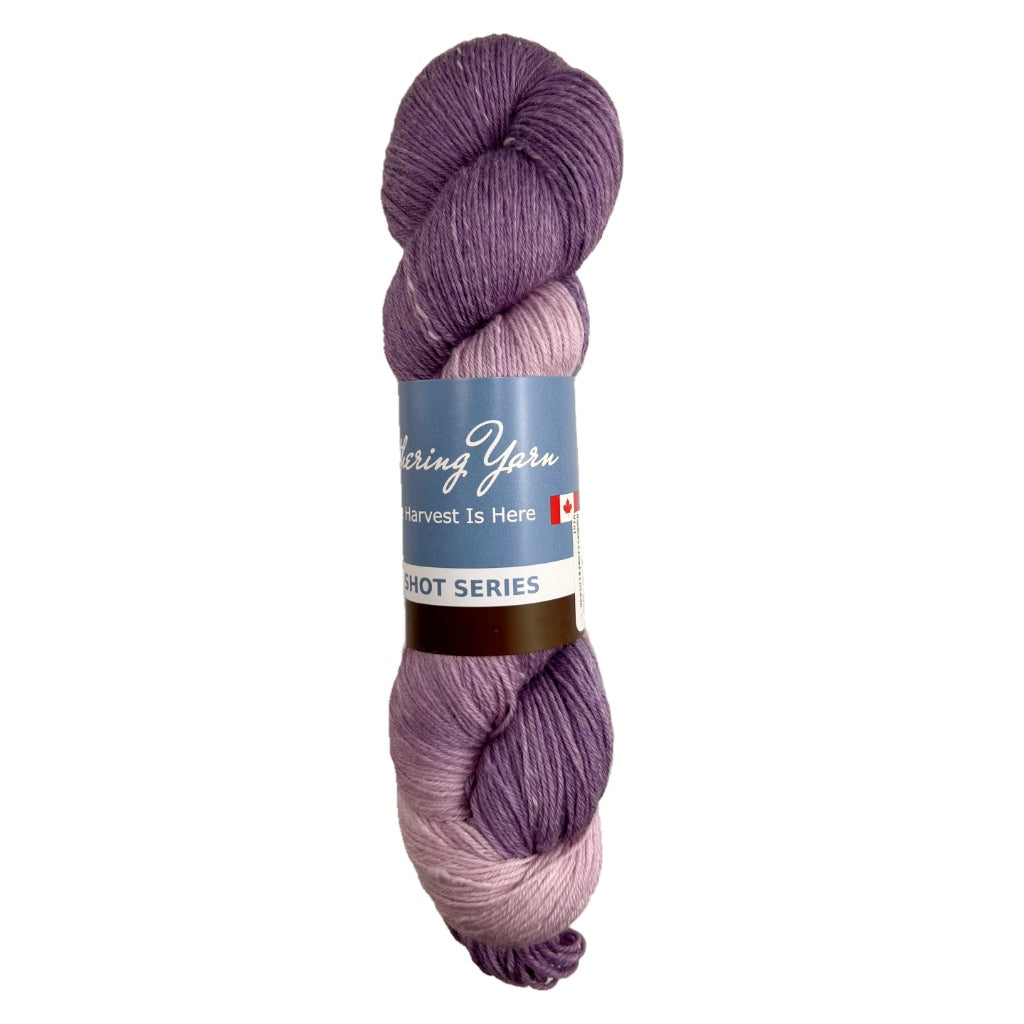 Summertime Painted Sock Violet