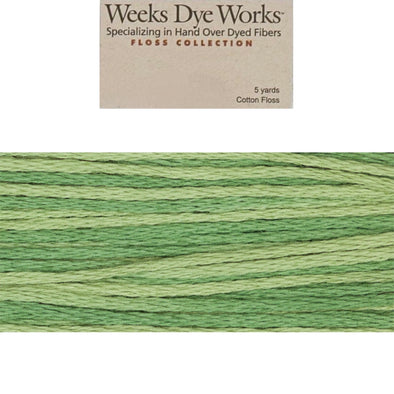 Weeks Dye Works 2198 Ivy