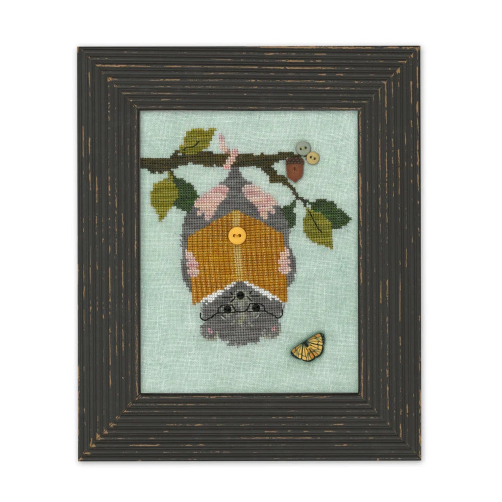 JABch1019 Woodland Possum