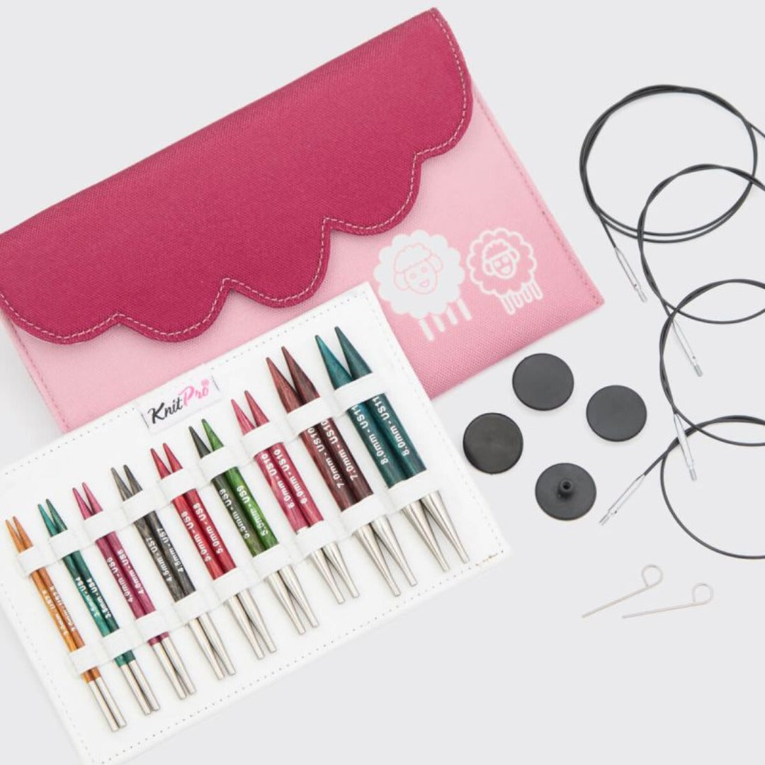 IC Circular Needle Gift Set KP Dreamz Special 4"