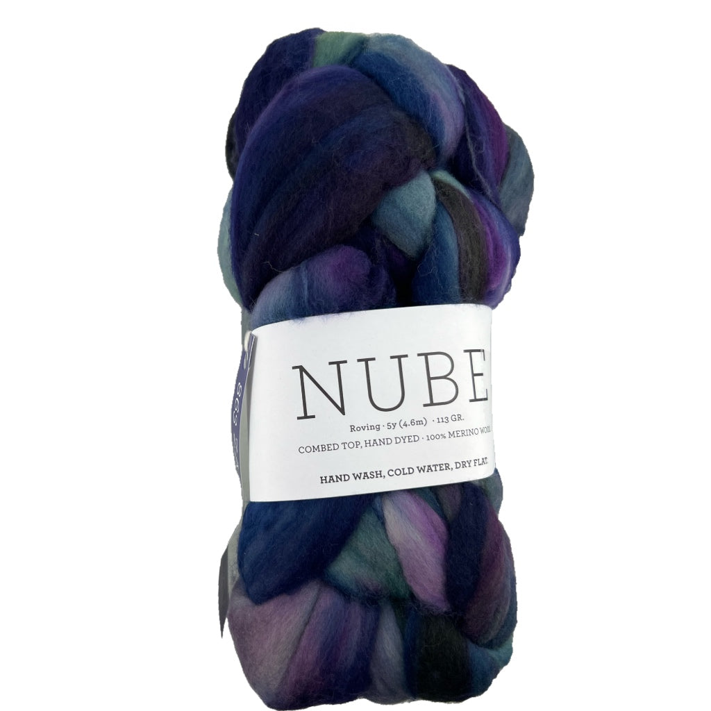 Nube 863 Zarzamora