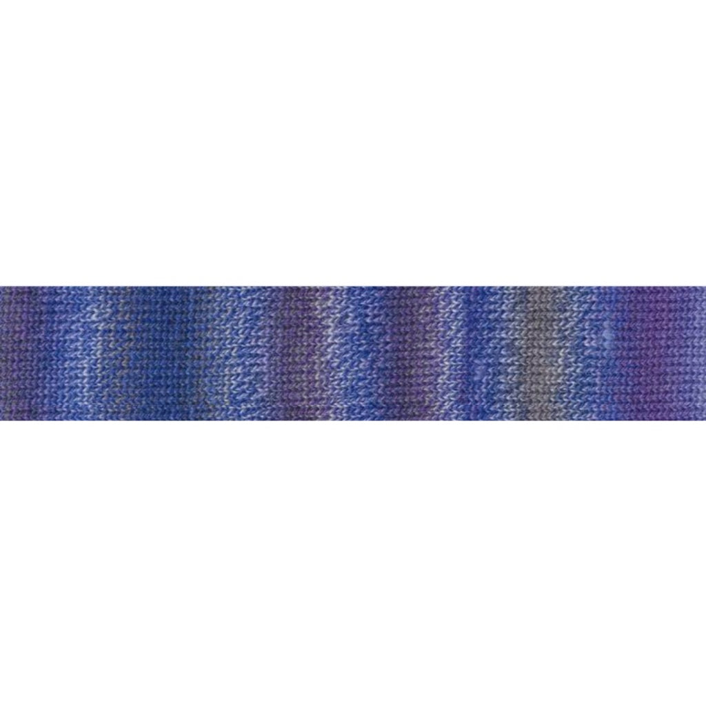 Perth 108 Royal Bluebell