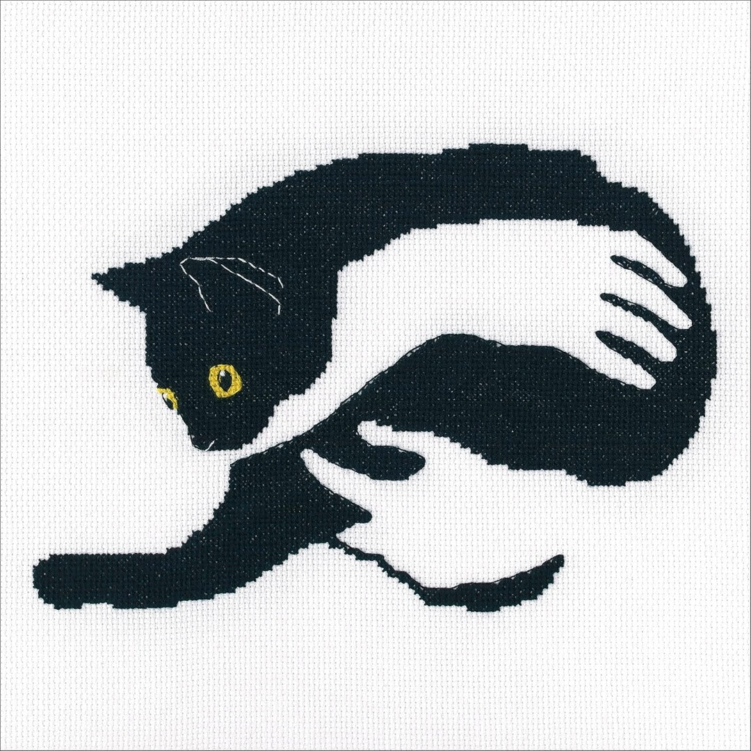 RTO M669 Among Black Cats