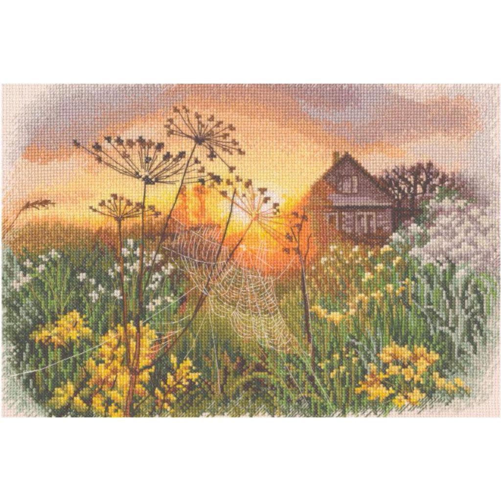 RTO M867 Through the Cobweb