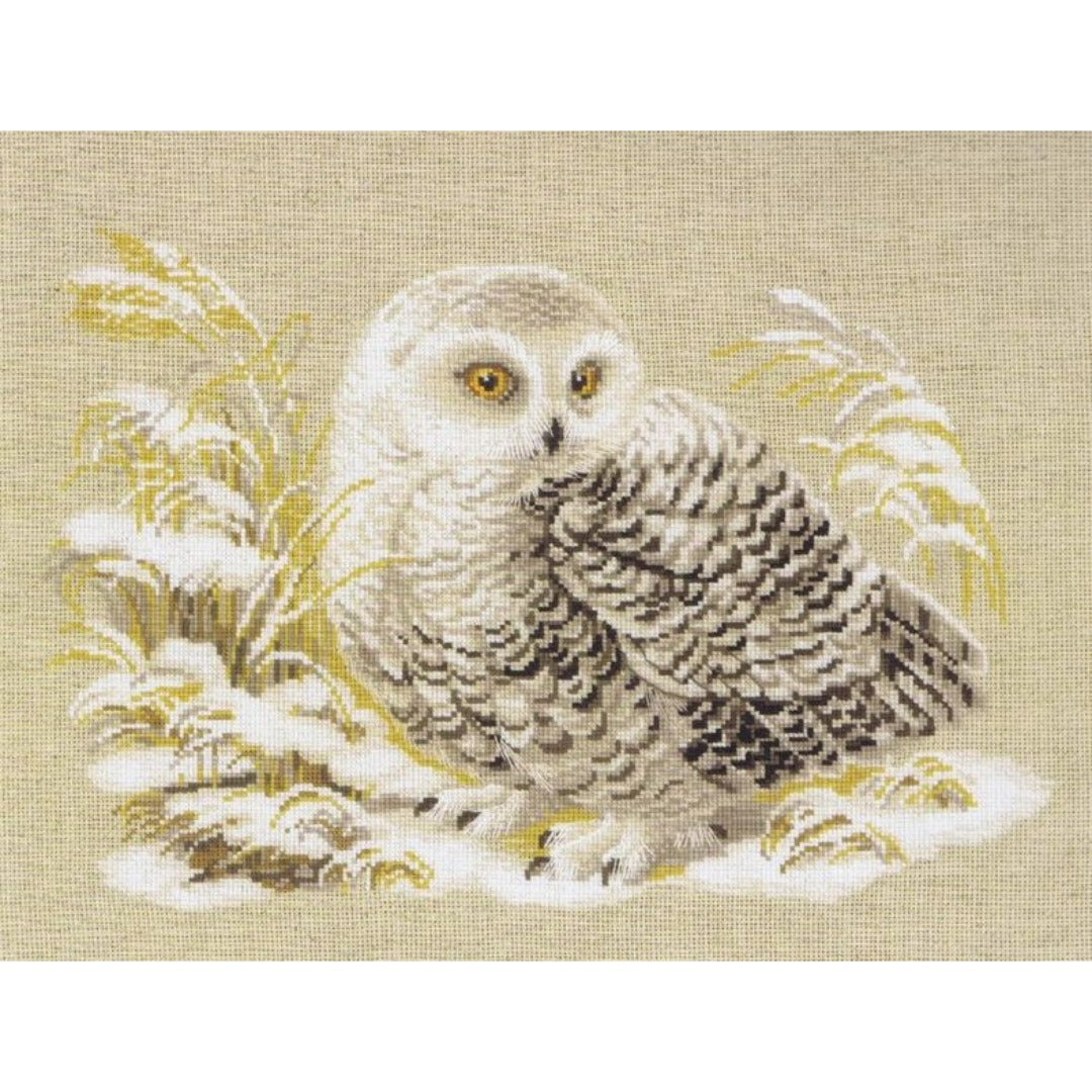 Riolis 1241 White Owl