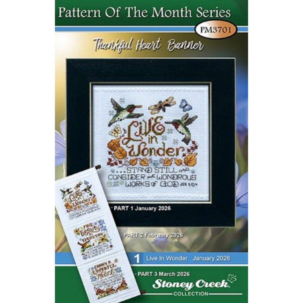 STC PM3701 Live in Wonder