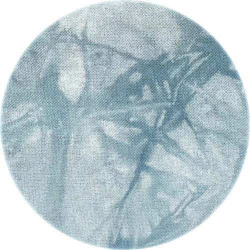 Evenweave 32ct Dwarf PTP Lugana