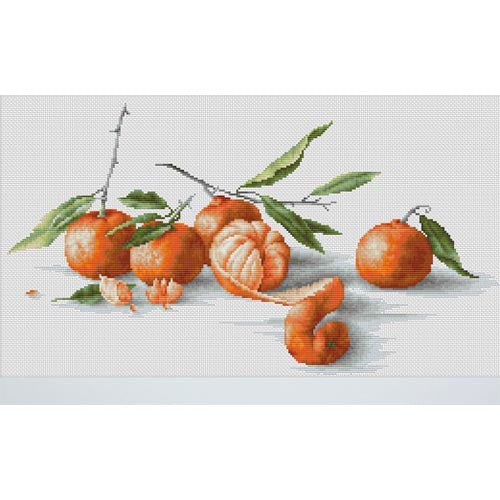 Luca-S B2255 Tangerines StillLif