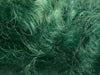 Wool Dye Pot Green Powder Ashford