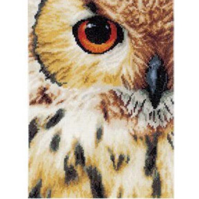 LANARTE PN0157518 Owl eye