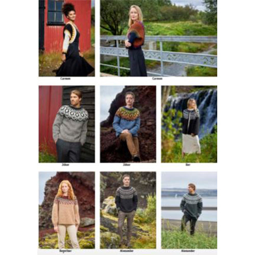 LOPI 40 Istex Twenty-five Designs