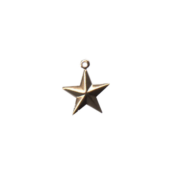 Charm J13126-BR  Small Raised Star ( BE003)