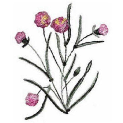 JDR 340/12 Carnation