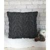 Jody Long  Andes Cushion & Blanket