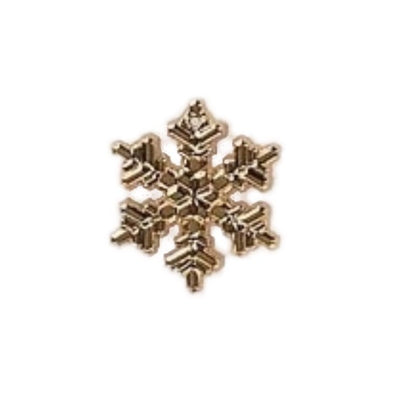Beads 12040 Snowflake Gold Large