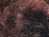 Wool Dye Brown Powder Ashford